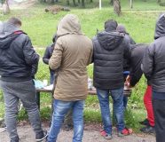 migranti