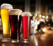 pivo