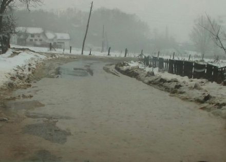 pliva i janj