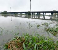 sava