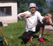 ubica
