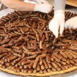 cevapi