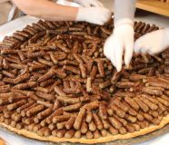 cevapi