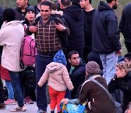 migranti