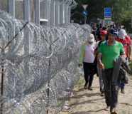 migranti