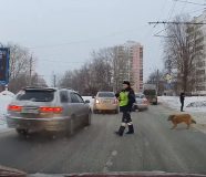 zanimljivosti