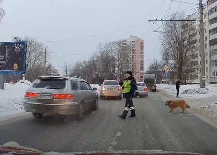 zanimljivosti
