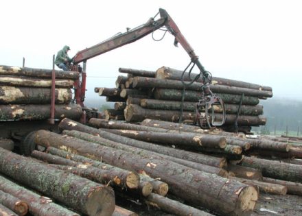 roba