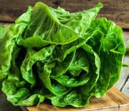 salata