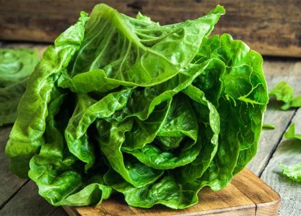 salata