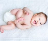 bebe
