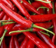 ljuta paprika