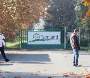 Farmland