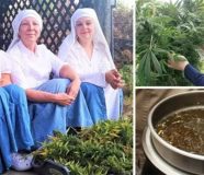 marihuana