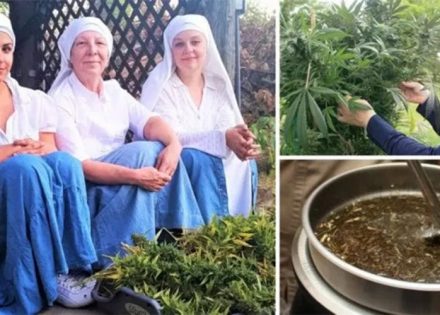 marihuana