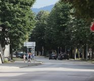 teslić