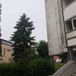 borik