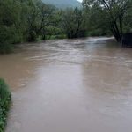 poplave