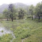 poplave