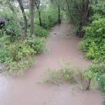 poplave