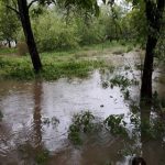 poplave