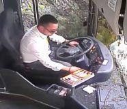 autobus