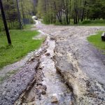 zelenkovac