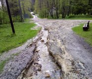 zelenkovac