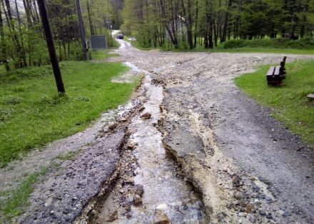 zelenkovac