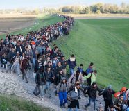 migranti
