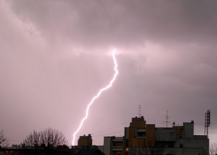munje