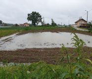 Poplave