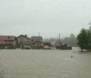 jošavka