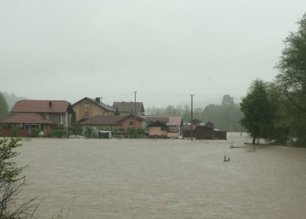 jošavka