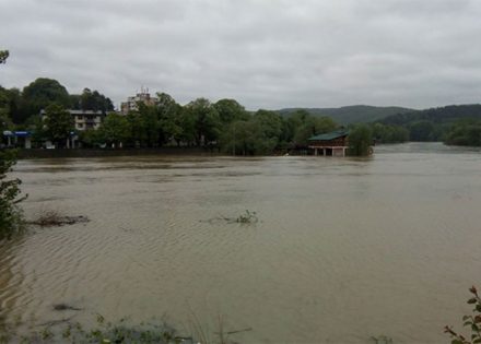 bosne