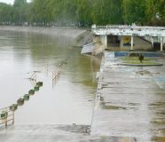 sava