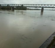 sava