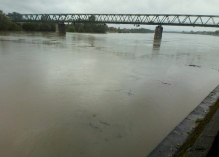 sava
