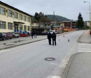 vlasenici
