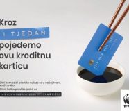 kartica
