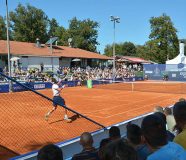 atp