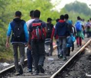 migranti