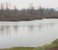 sava