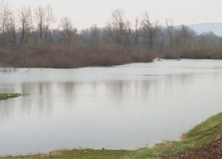 sava