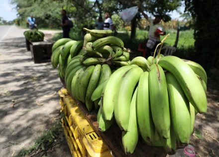 banane