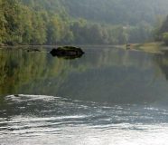 drina