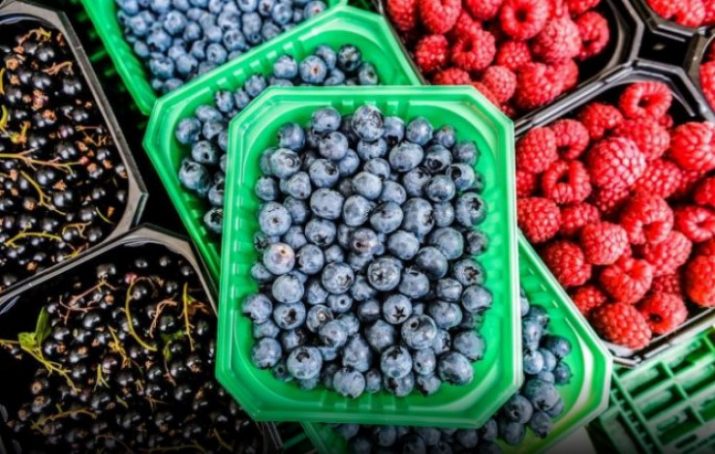 maline