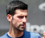 novak