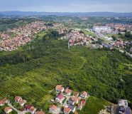 vocnjak