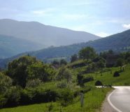 Mrkonjić